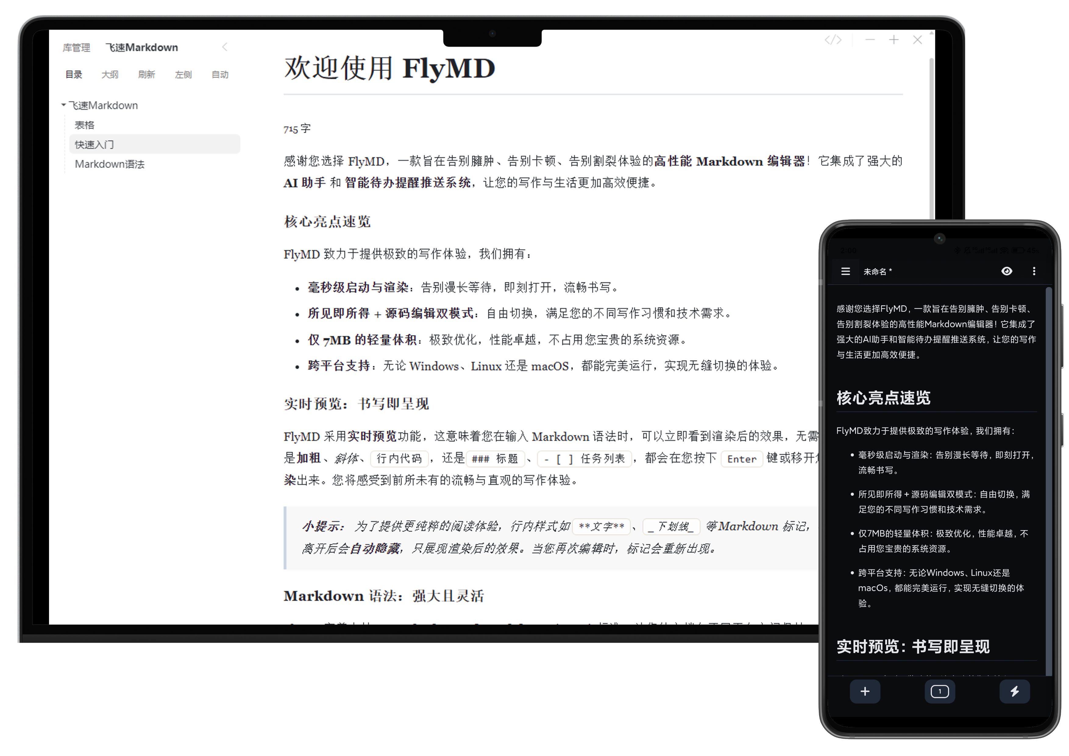 FlyMD Preview